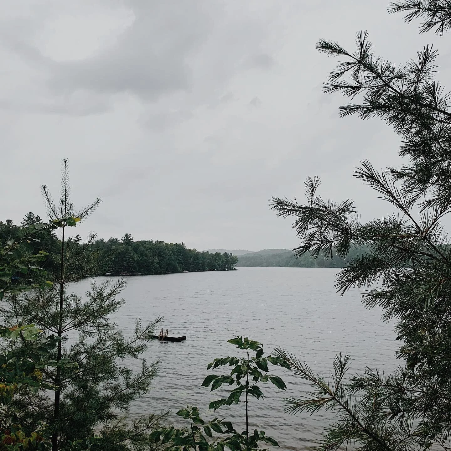 Tu me fais r&ecirc;ver | River, late summer
.
.
.
#tenagadinozibi #personhoodofriver #auguststorms