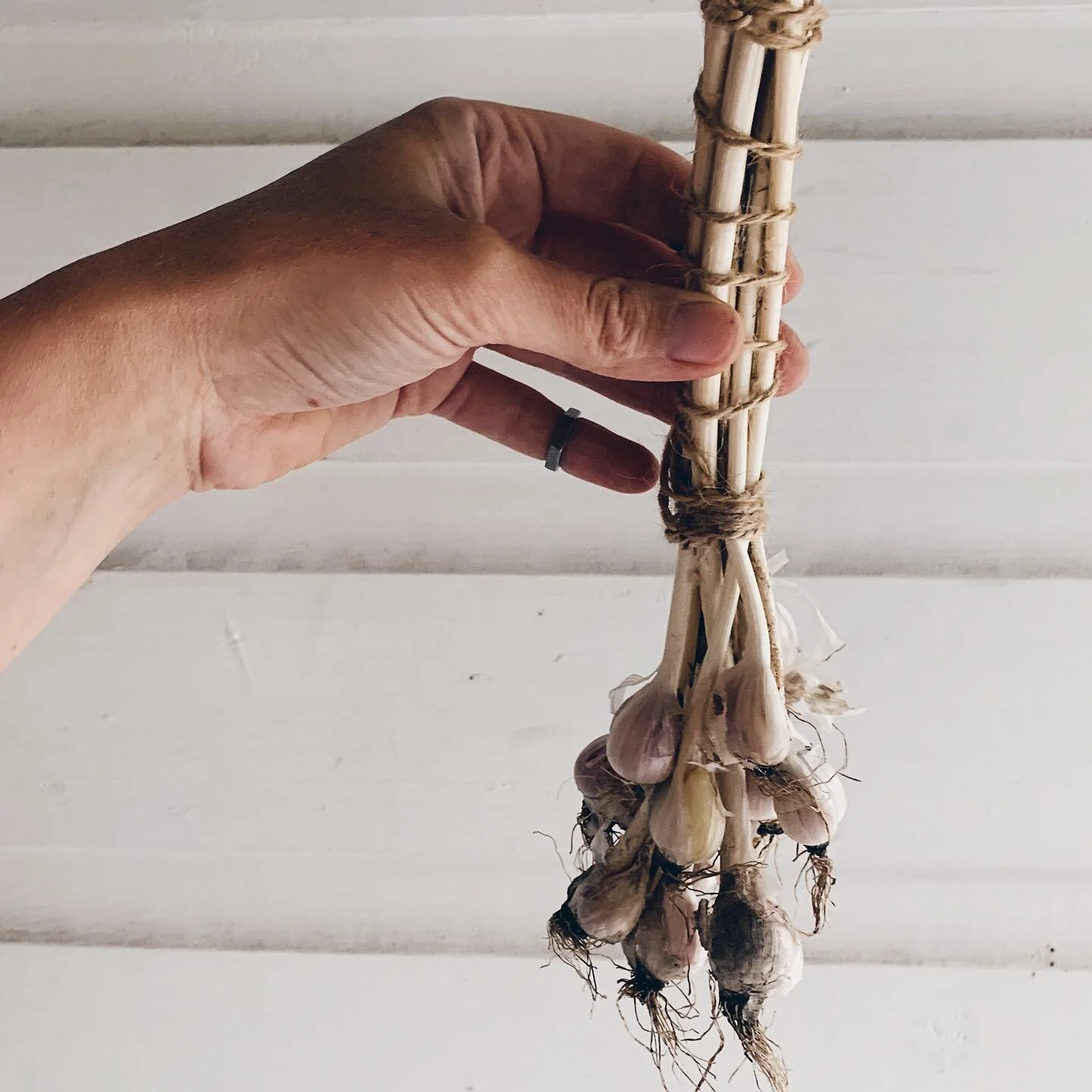 Experiential Learning, in Season |

Following years of concussion recovery &amp; three burnouts, Life shifted its strategy from intuitive nudges (ignored) to forceful ful stop.  I developed new ways of being and learning that sustain more balanced an