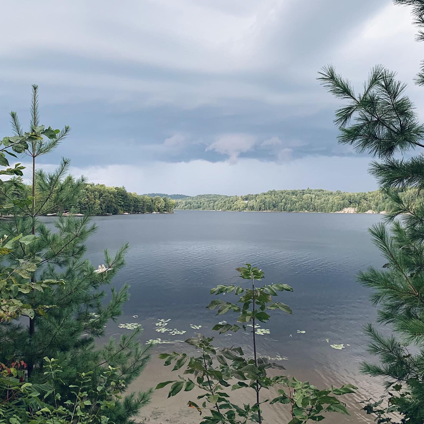 moody broody River 02-09-22

.
.
.

#personhoodofriver #tenagadinzibi #electricalstorm #rollingthunder #gatineauriveratgleneagleqc
#uncededalgonquinanishnaabegterritory