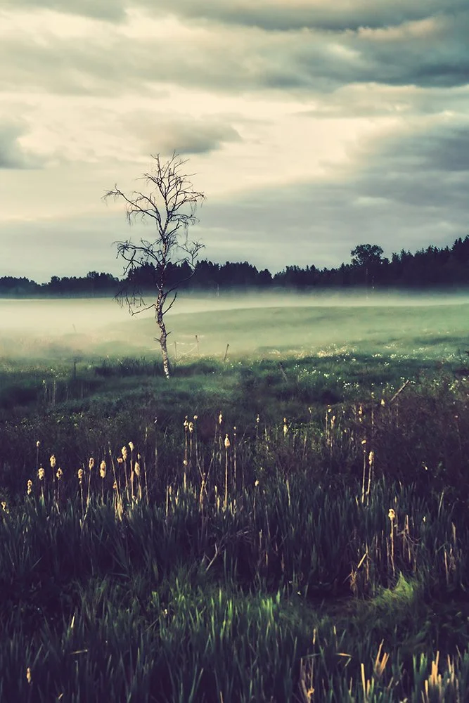 Peltoja Tampereen Sorilassa. Valokuvia Sorilasta.
