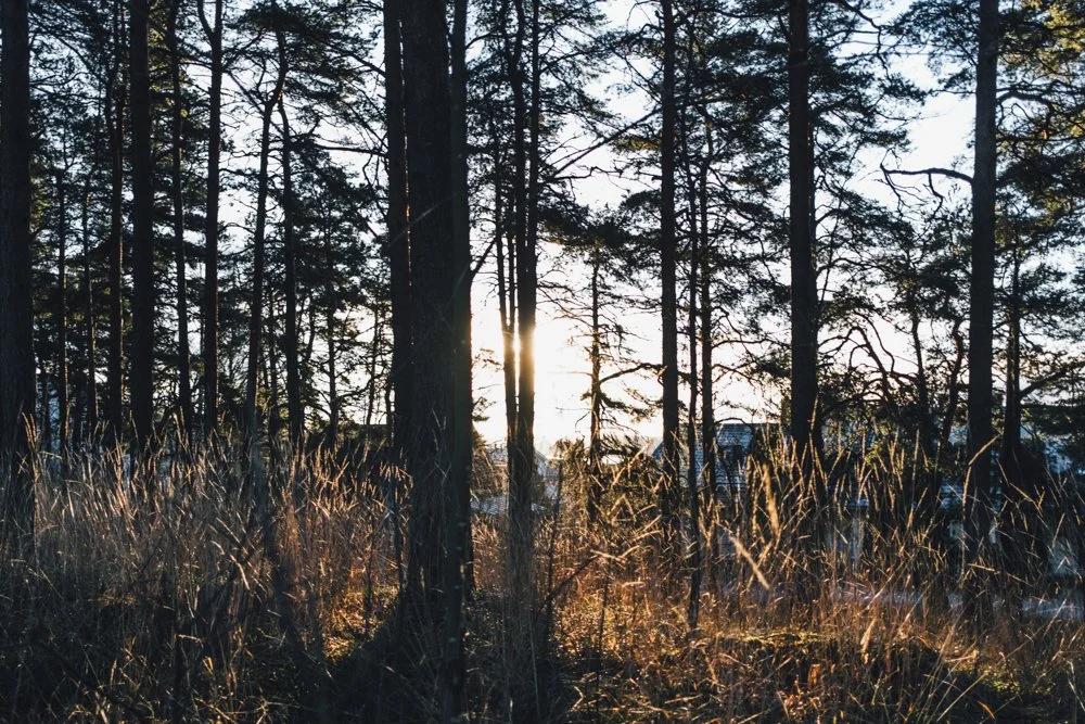 Valokuvia Ala-Pispalasta