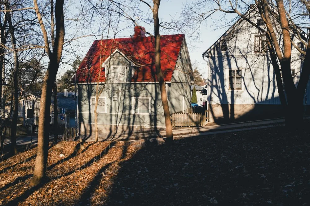 _DSF0389.jpg