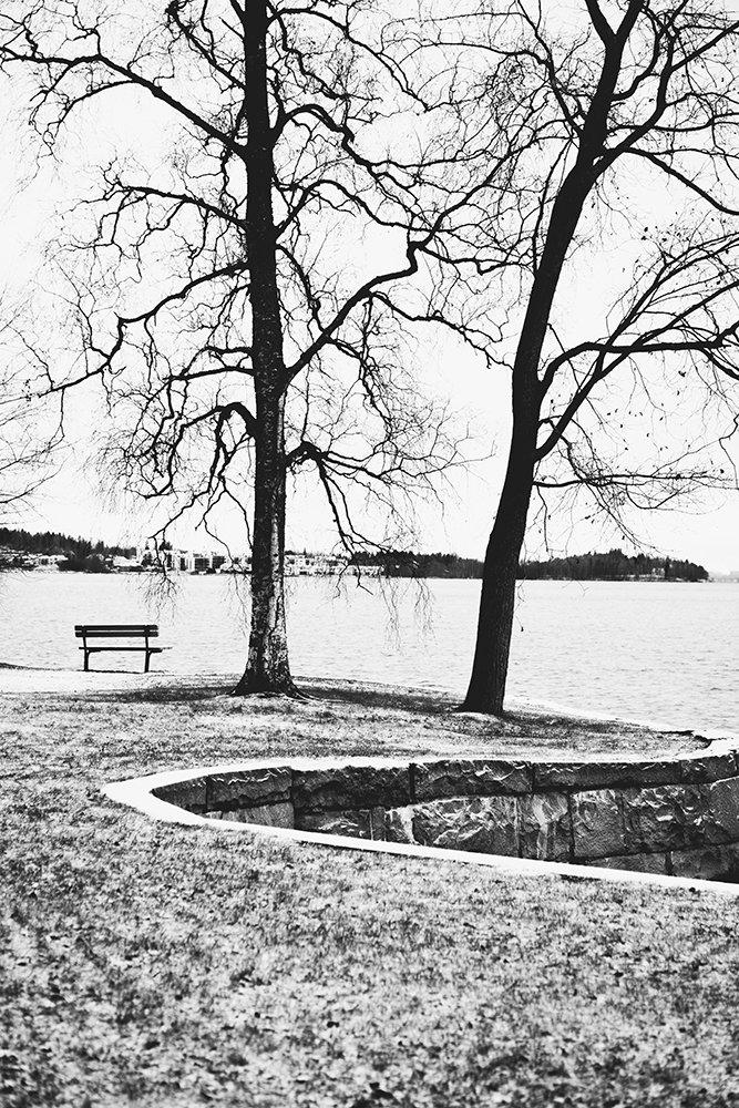 Valokuvia Hatanpään Arboretumista talvella