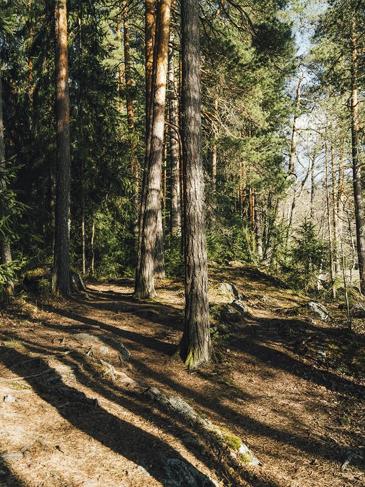 Venepaikka Näsijärvellä.