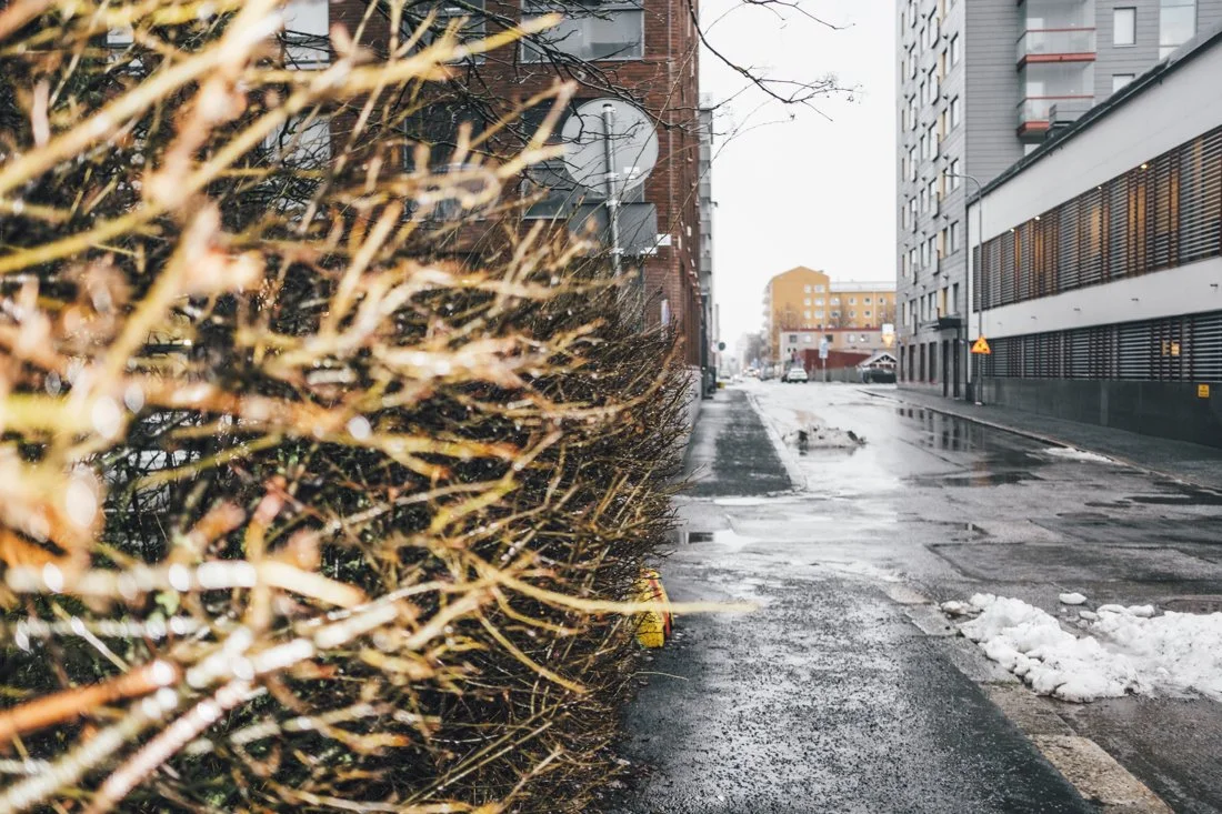 Valokuvia Pinninkadulta Tampereella