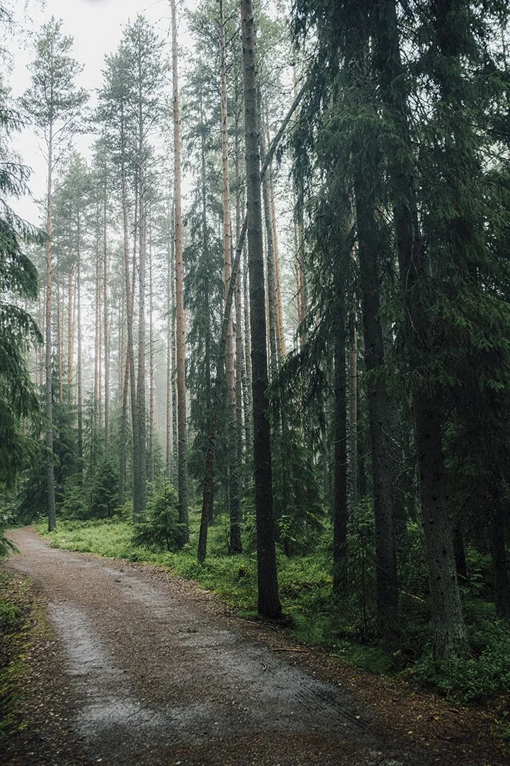 Valokuvia Sorilasta. Kintulammen retkeilyalue.