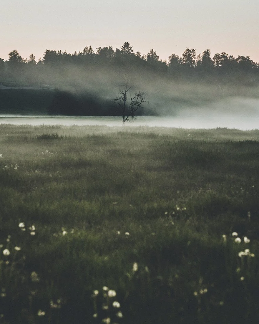 Sumua Sorilassa. Valokuvia Sorilasta