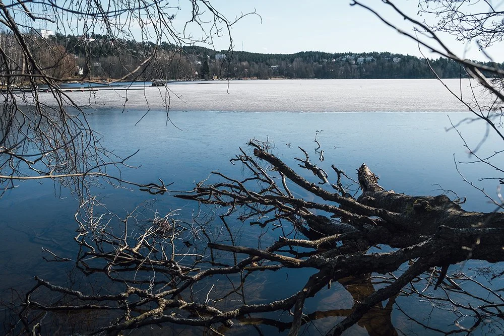 Hyhkyn ranta Pyhäjärven rannalla