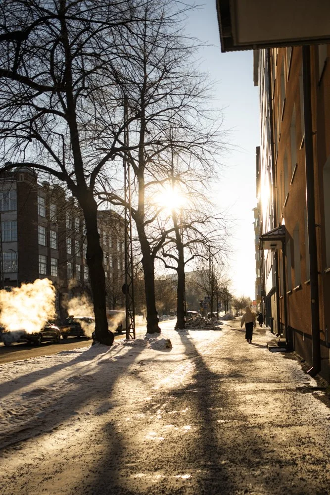 Valokuva Tammelan Puistokadulta