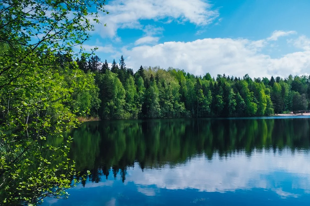 Kesällä Tesomajärven rannalla