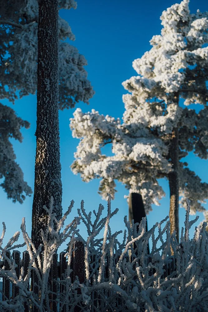 Valokuvia Pispalasta. Talvikuvia Pispalasta