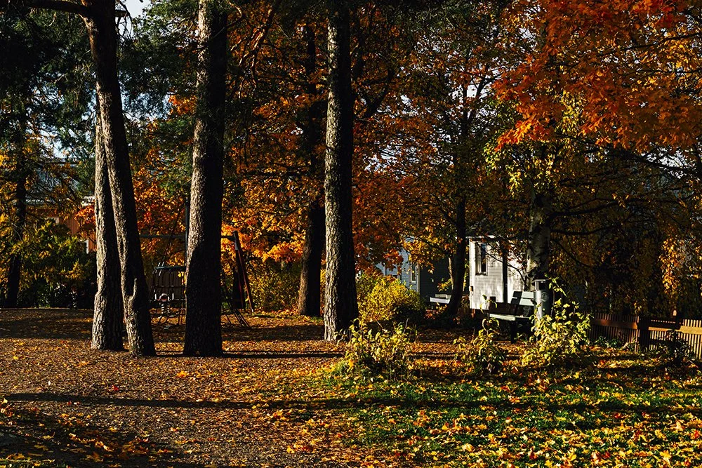 Syksyinen Pispalan Pyykkipuisto