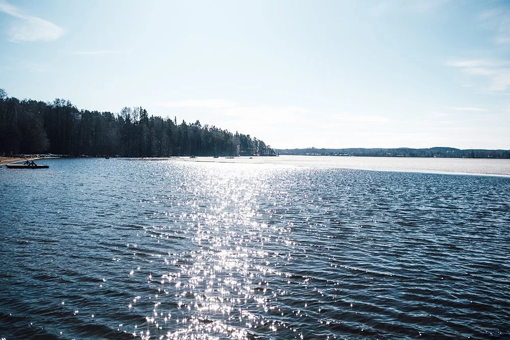 Tahmelan ranta Pyhäjärvellä