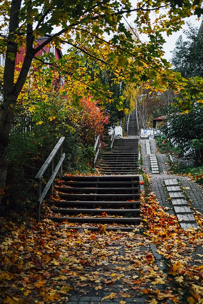 Syksy Pispalanportailla