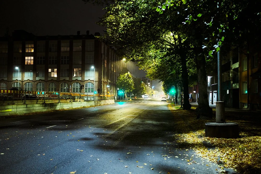 Aaltosen kenkätehdas Tammelan Puistokadulla