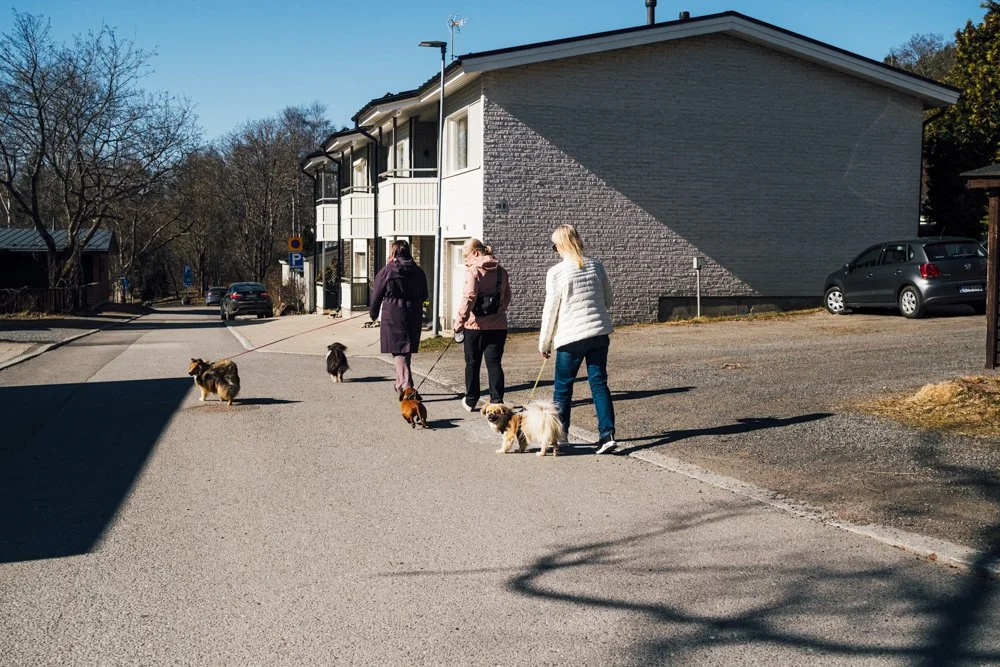 Koiranulkoiluttajia Tahmelassa