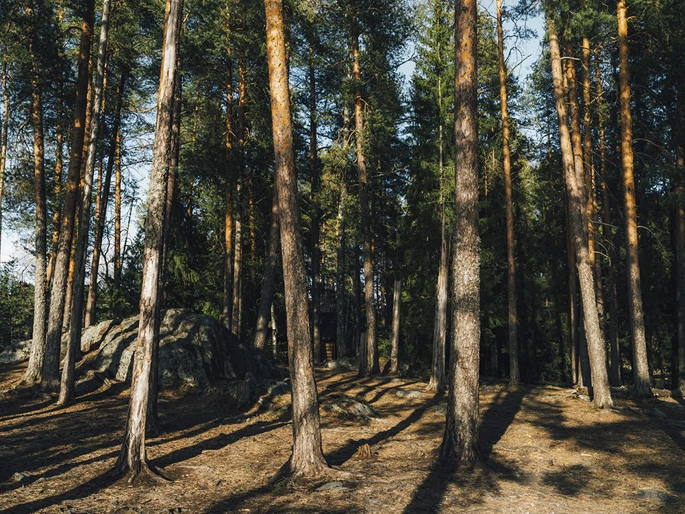 Hangaslahti Olkahisissa - Valokuvia Olkahisista