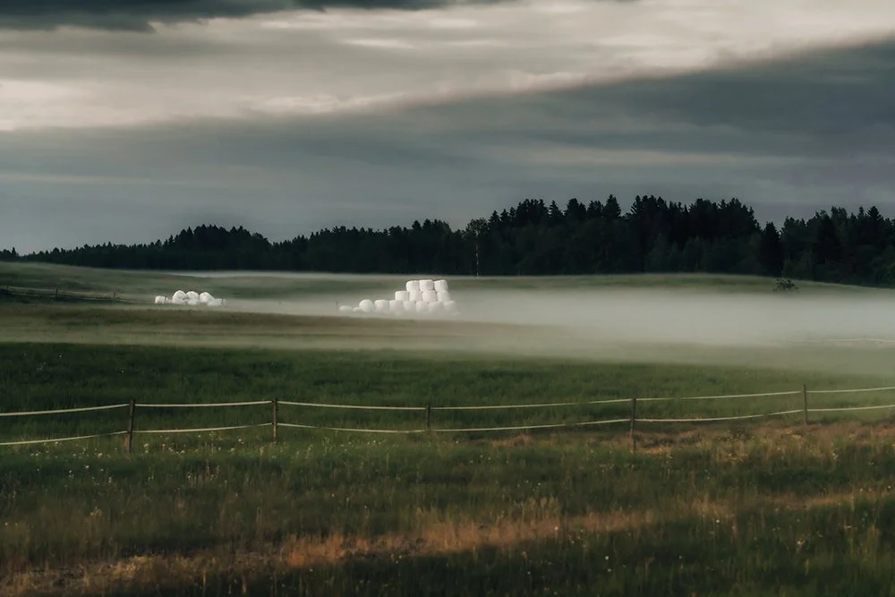 Sumua Sorilassa. Valokuvia Sorilan pelloilta
