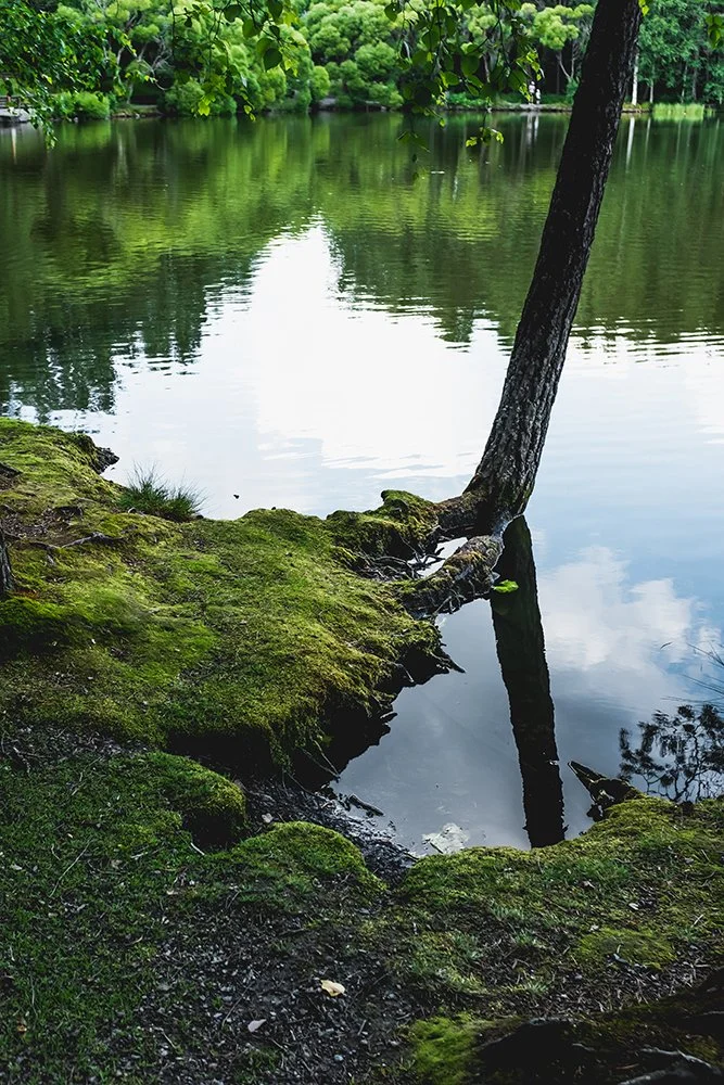 Ahvenisjärven rannalla Hervannassa