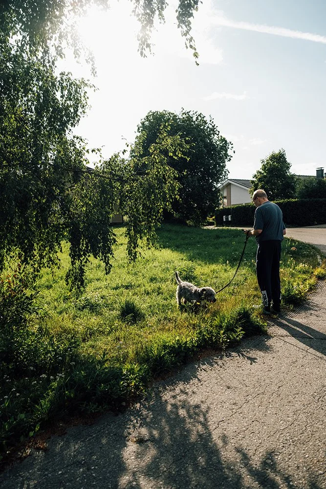 Valokuvia Hakametsästä