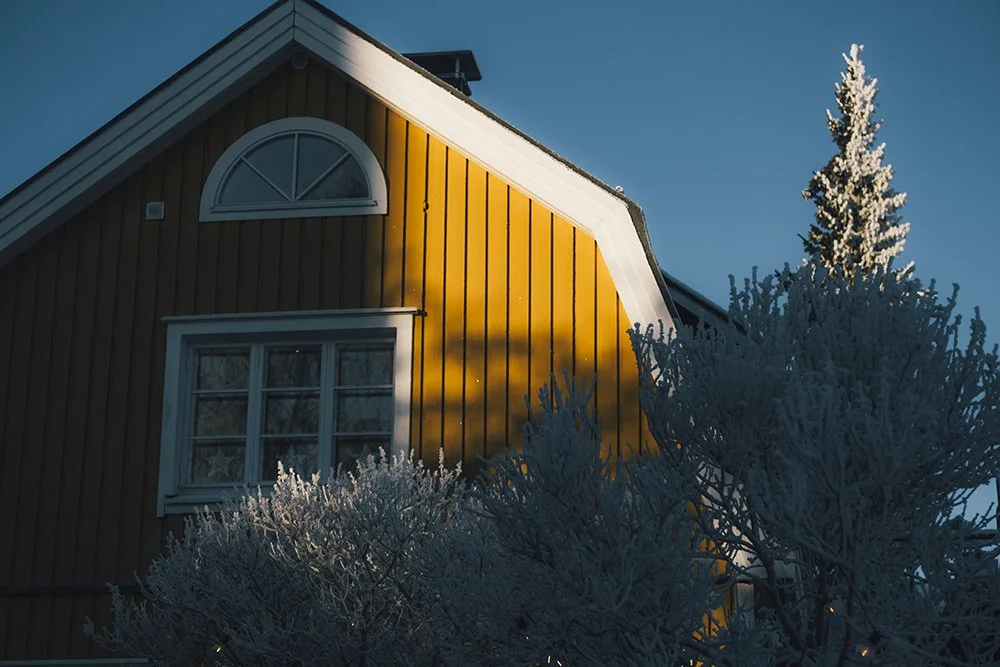 Talvikuvia Pispalasta