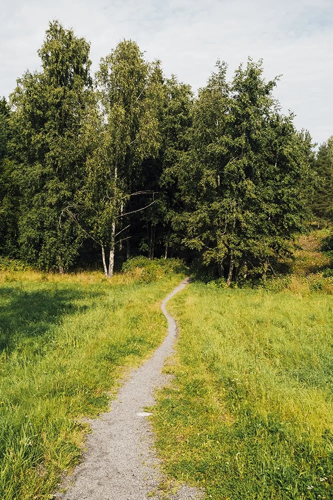 Polku metsään Lentävänniemessä