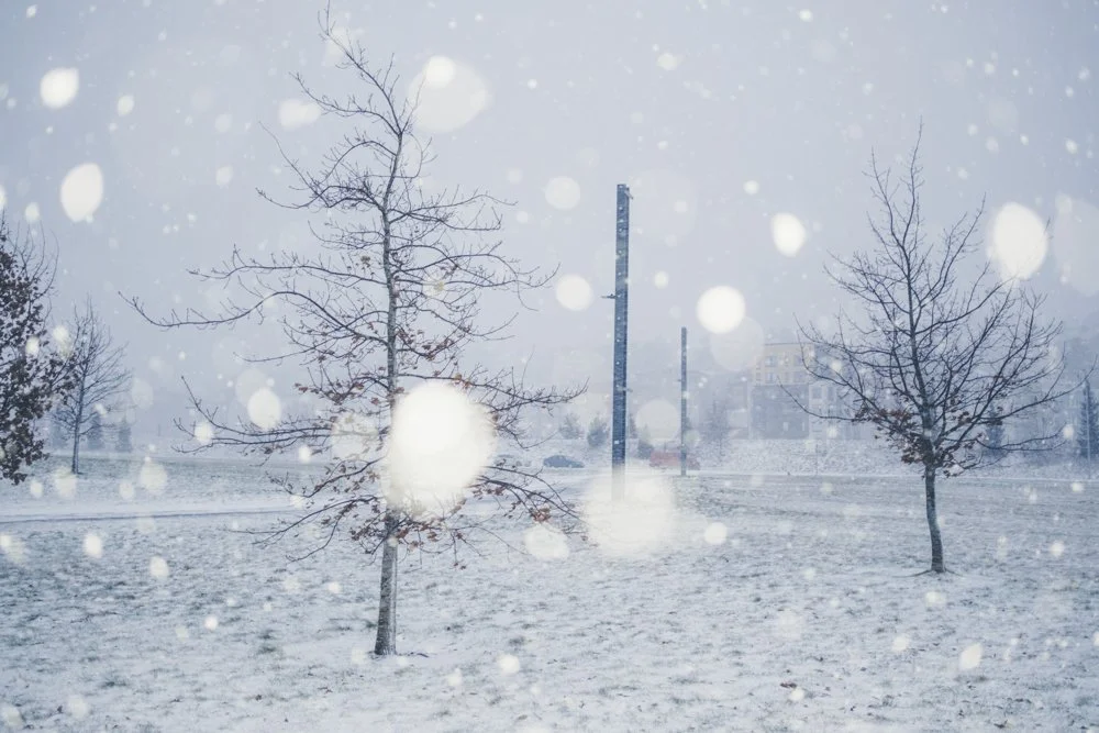 Lumisadetta Tampereella