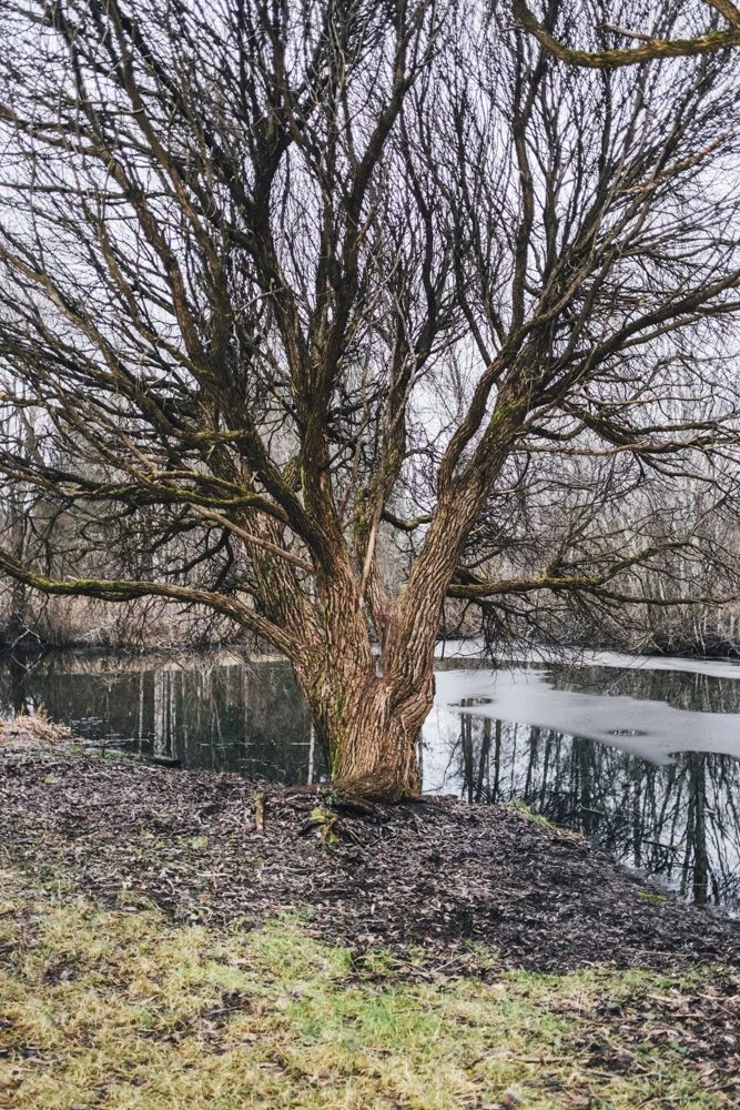 Synkkä joulukuu Tampereella