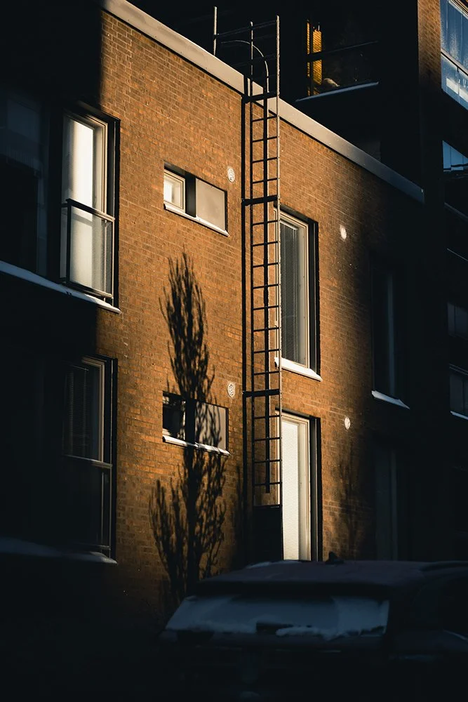 Varjo Ranta-Tampellassa