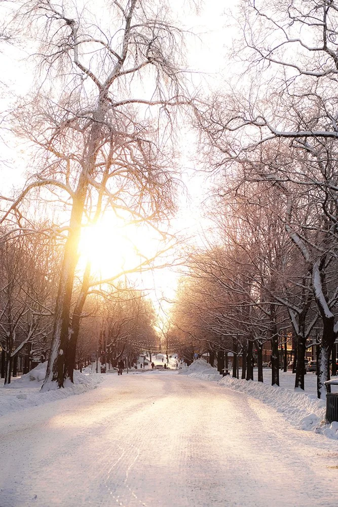 Talvi Hämeenpuistossa