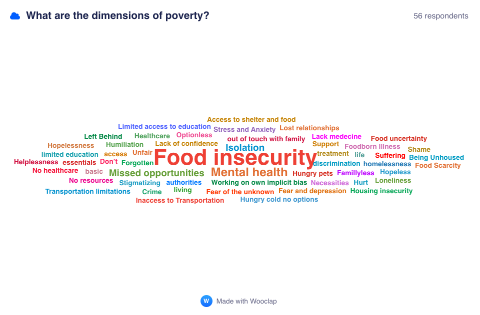 What_are_the_dimensions_of_poverty_.png