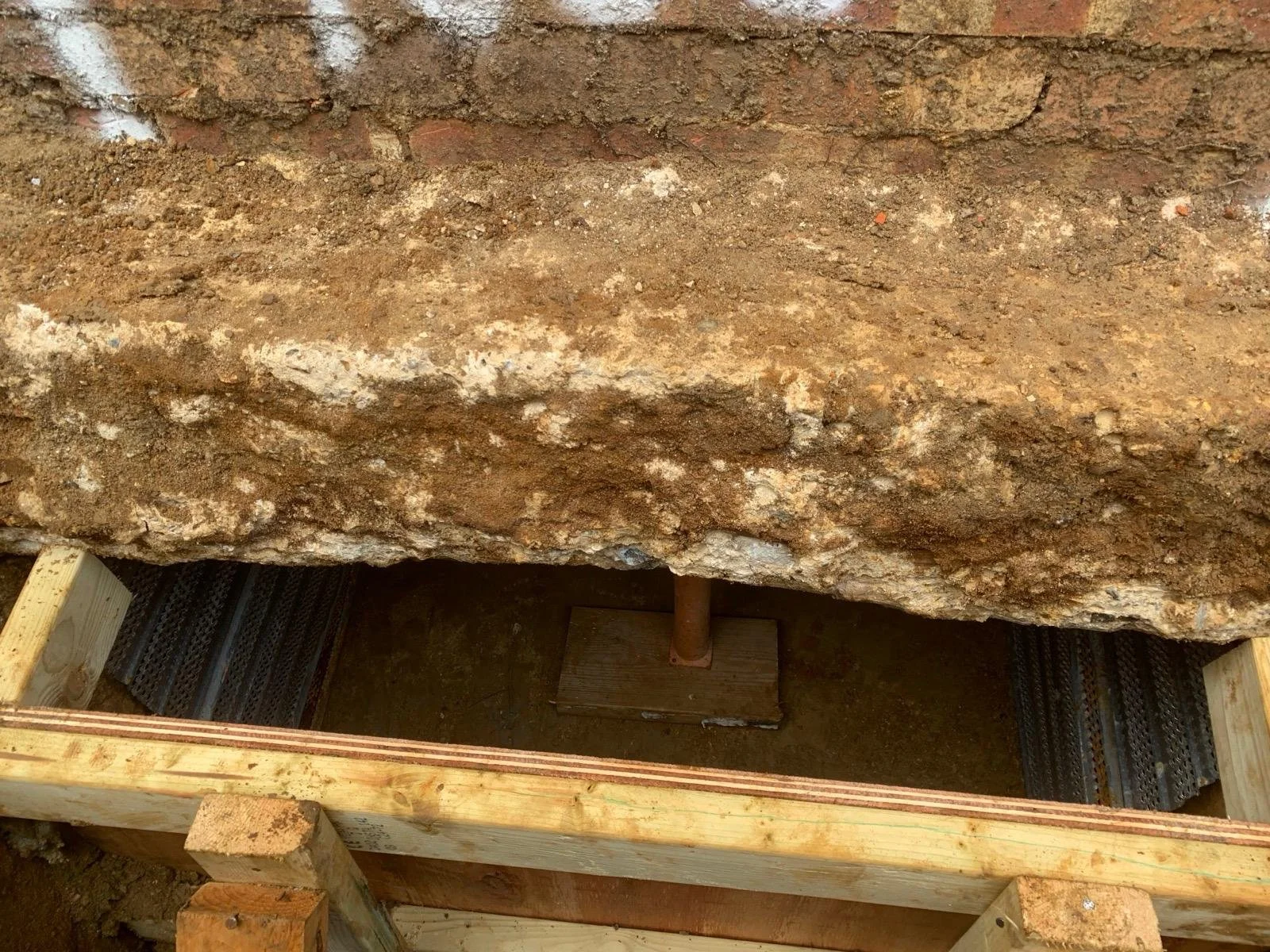 PHOTO-2026-02-06-10-10-53 (4).jpg