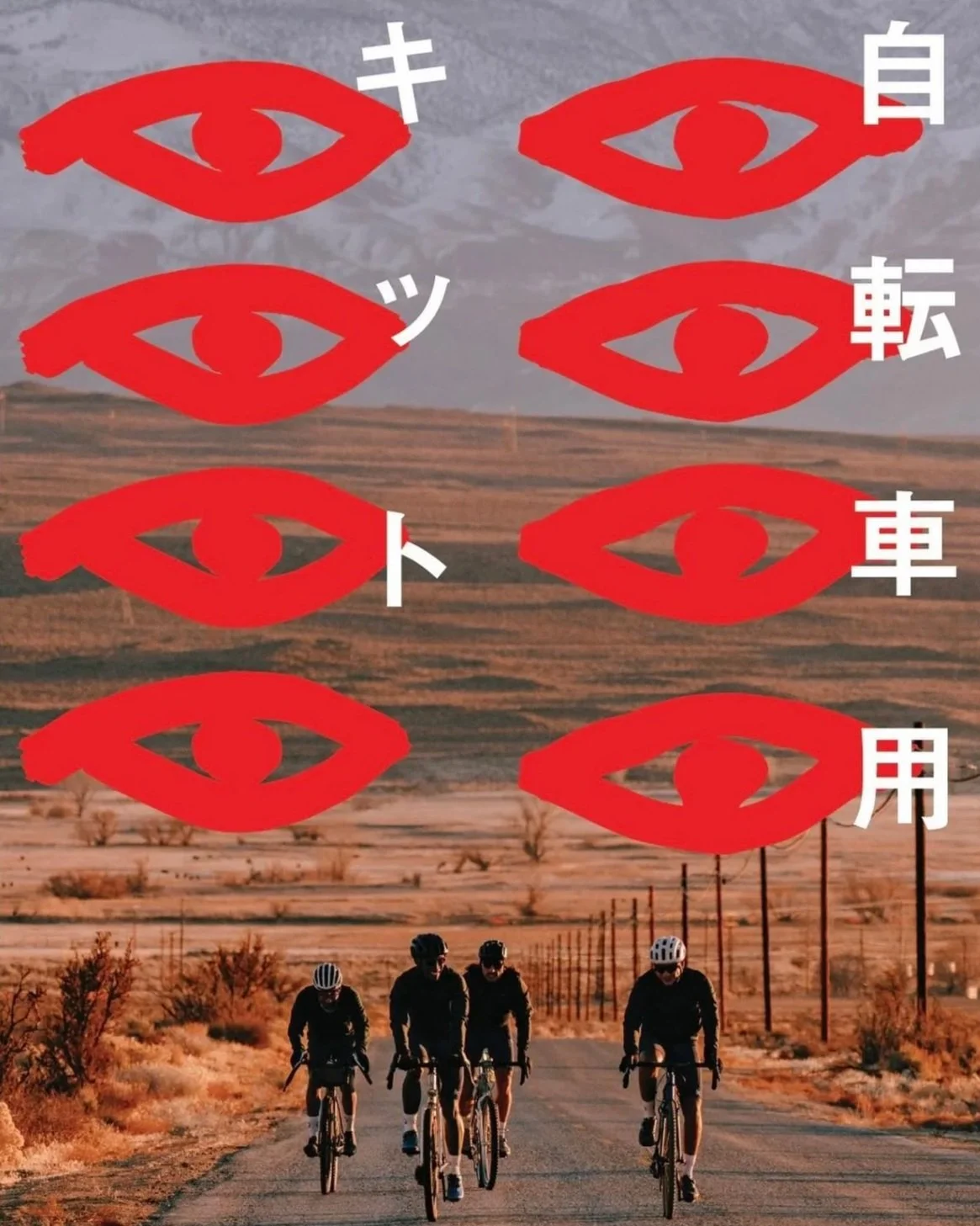 dv-poster.jpg