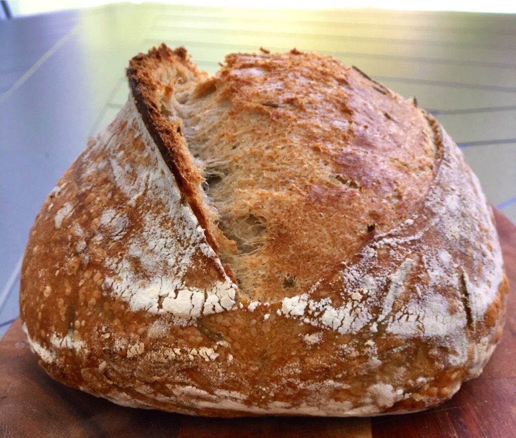 Country Wheat Blend with big ear.jpeg
