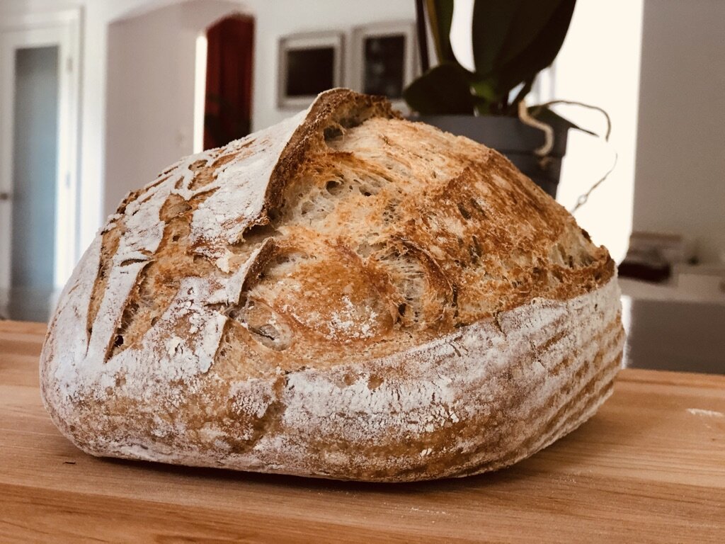 whole grain.jpeg