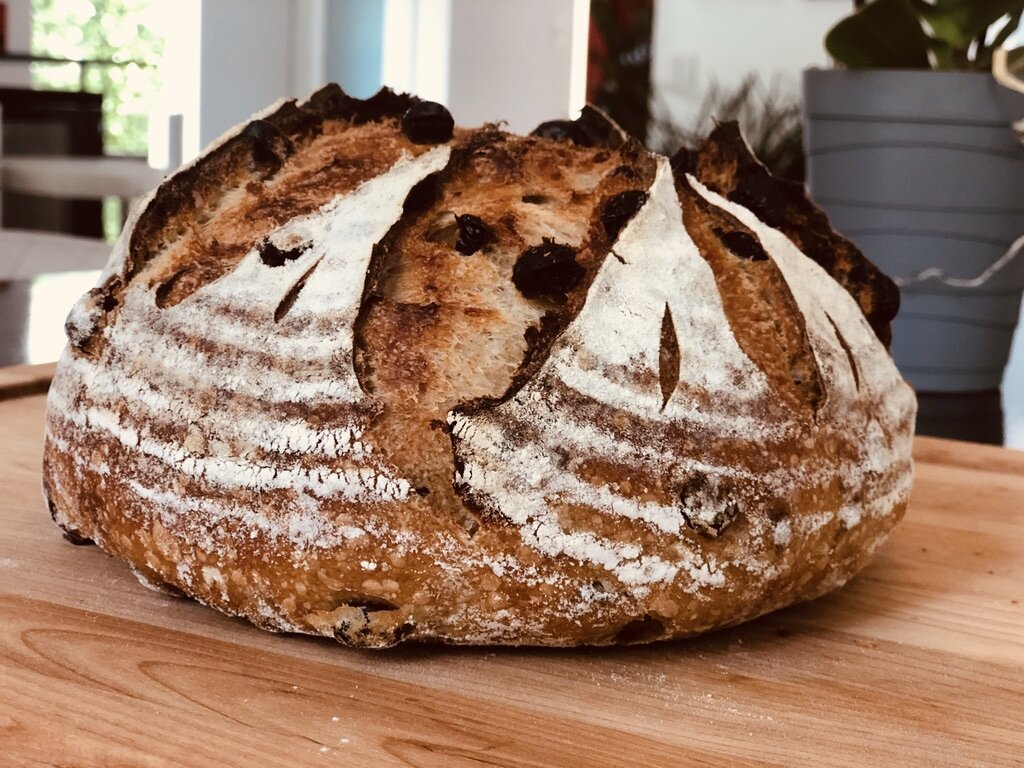 cinna 2.jpeg