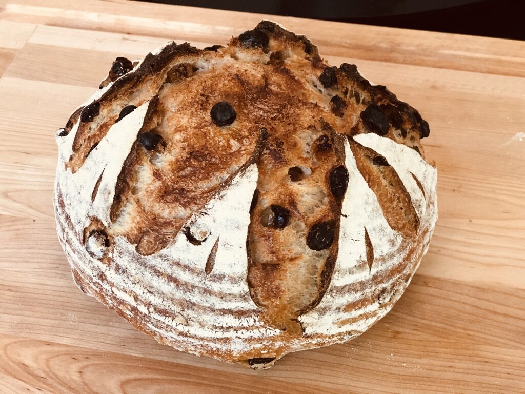 Cinna 3.jpeg