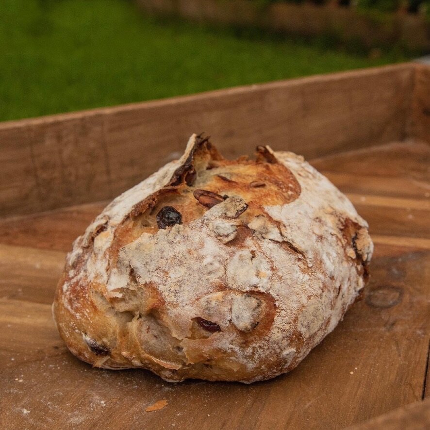 Raisin.jpeg