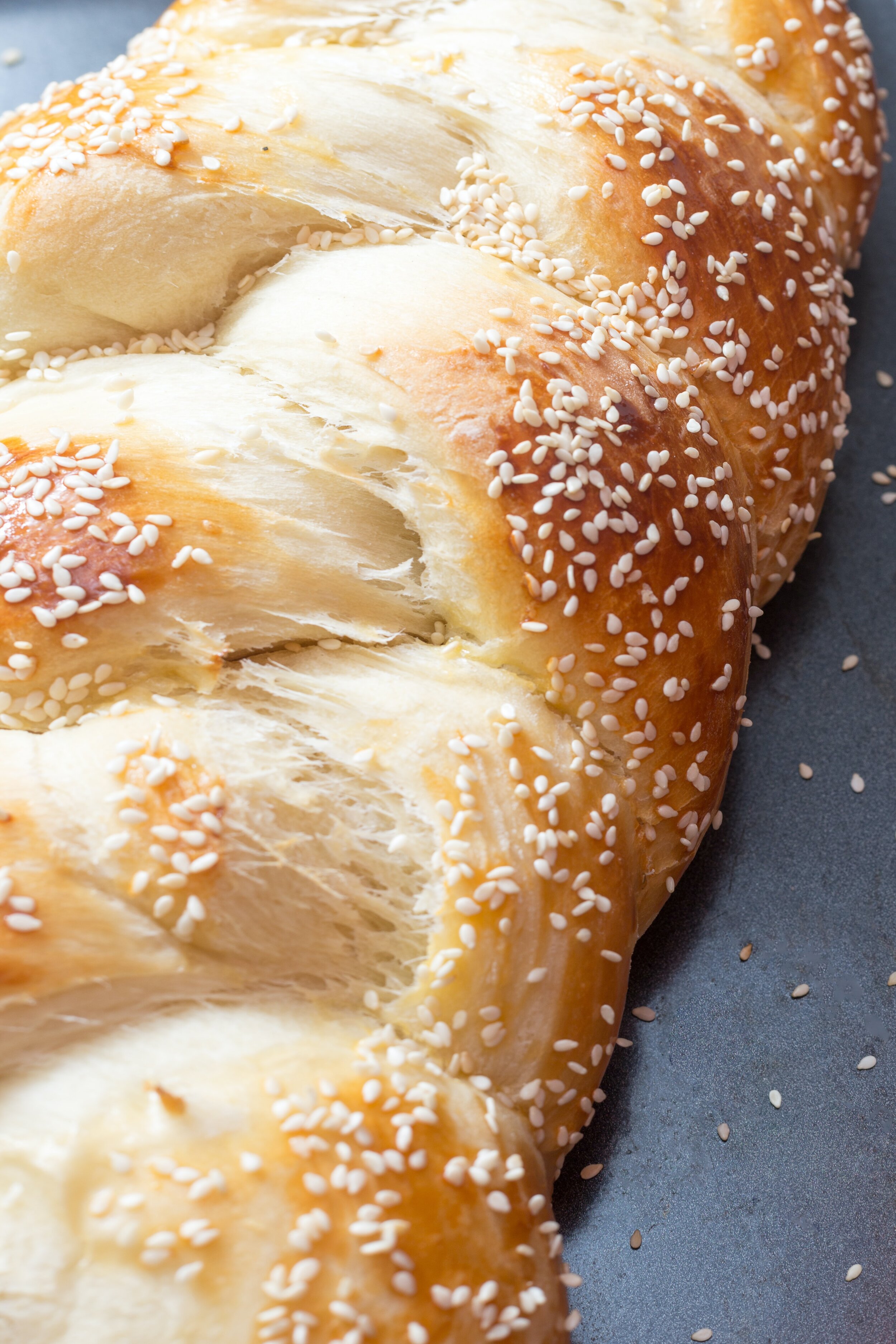 seeded challah.jpeg