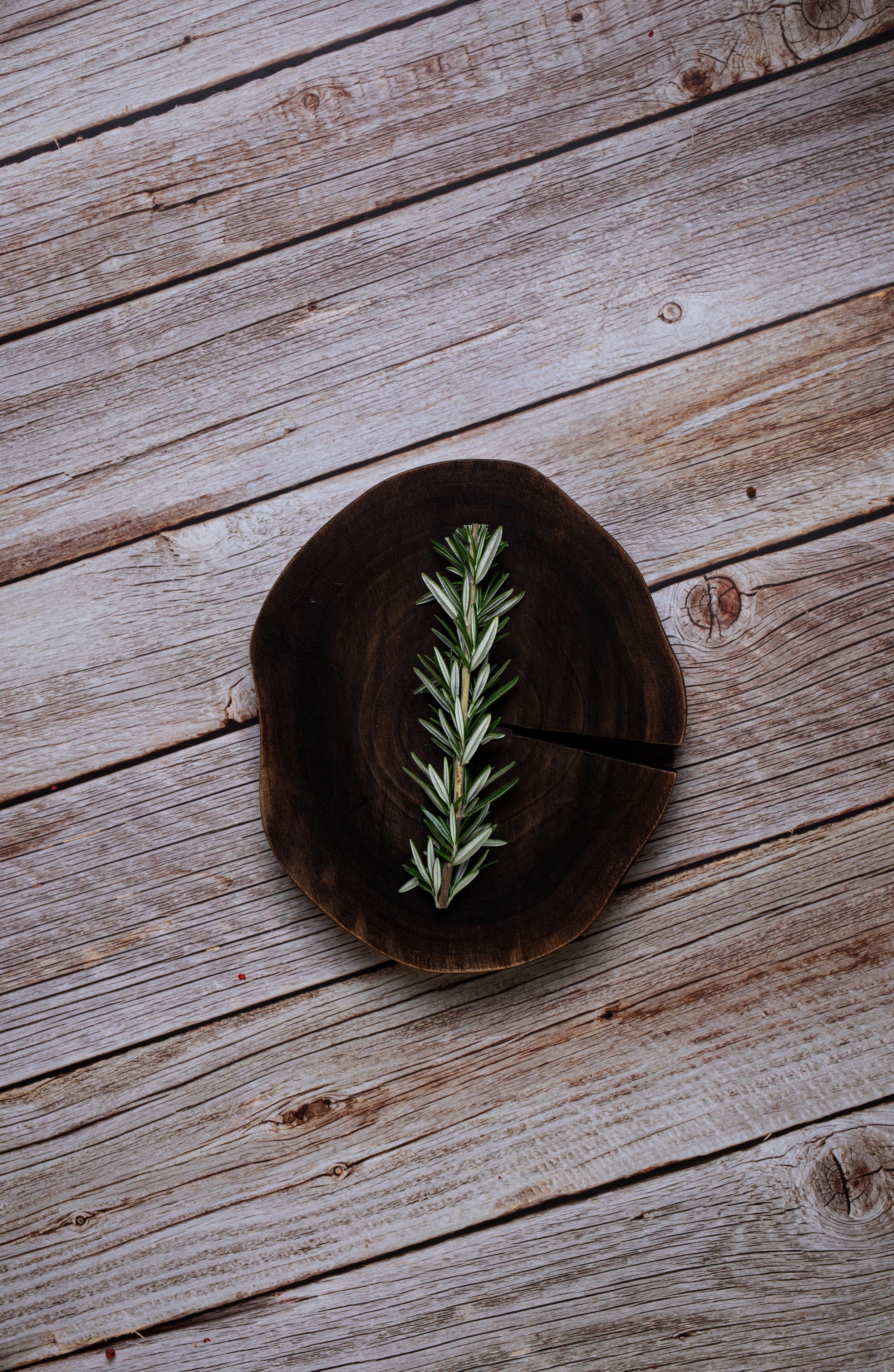 rosemary herb 2.jpeg
