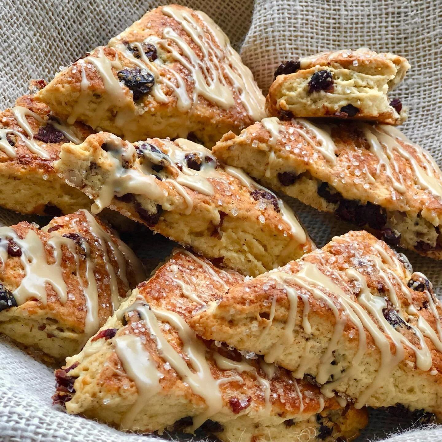 Our SD scones are a popular order: Maple-glazed Raisin Pecan, and also Dark Chocolate Chunk! Made with KA Organic white whole wheat (yes whole wheat) + low sugar like the classic British scones. 

#sconesofinstagram #scones 
#artisanbread #sourdough 