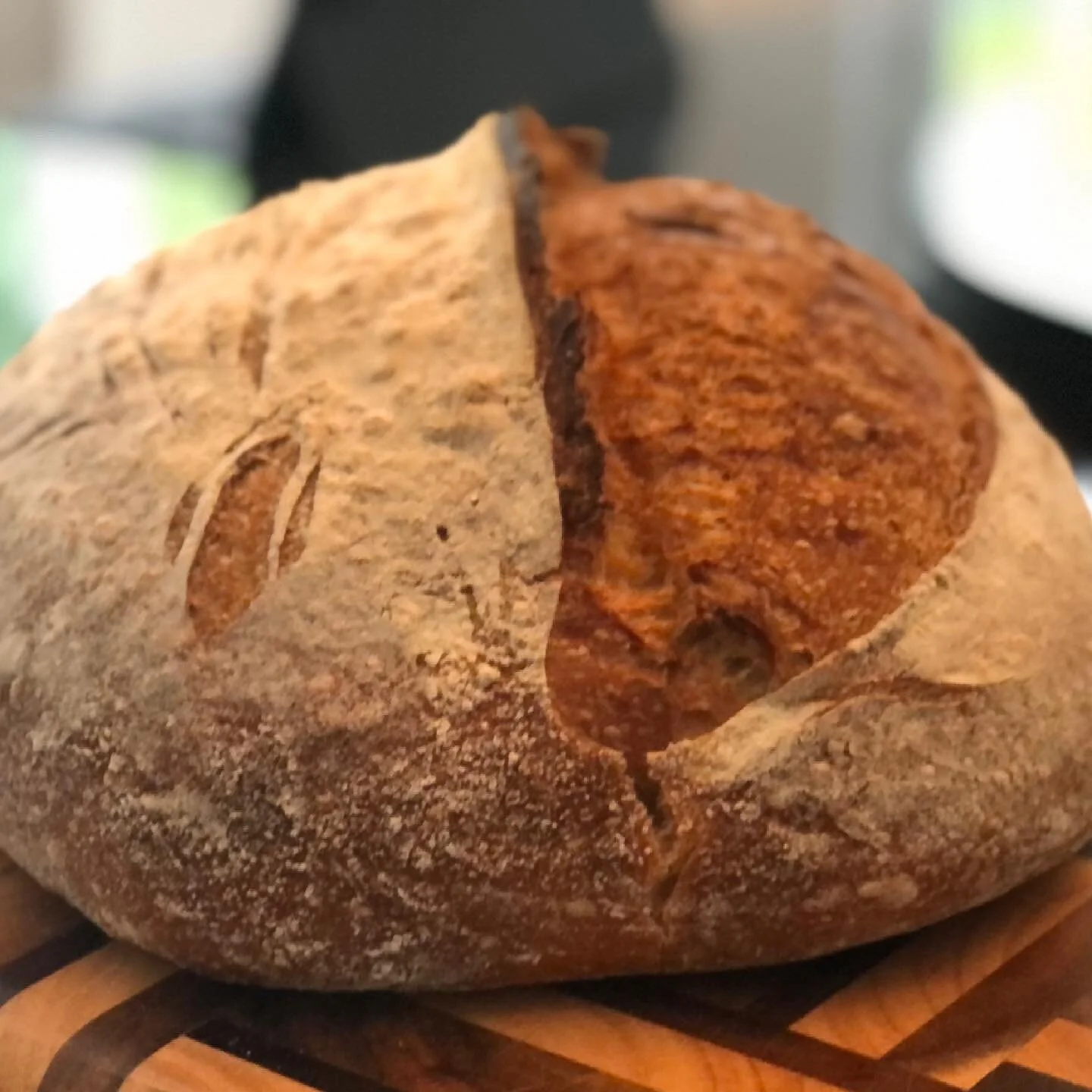 Interesting first test run with the new Famag mixer this week. Much to learn vs hand mixing. High friction factor caused dough to heat a fair amount (my usual DT is consistently 75-78F; yet after reaching an improved gluten stage with a good 10-12 mi