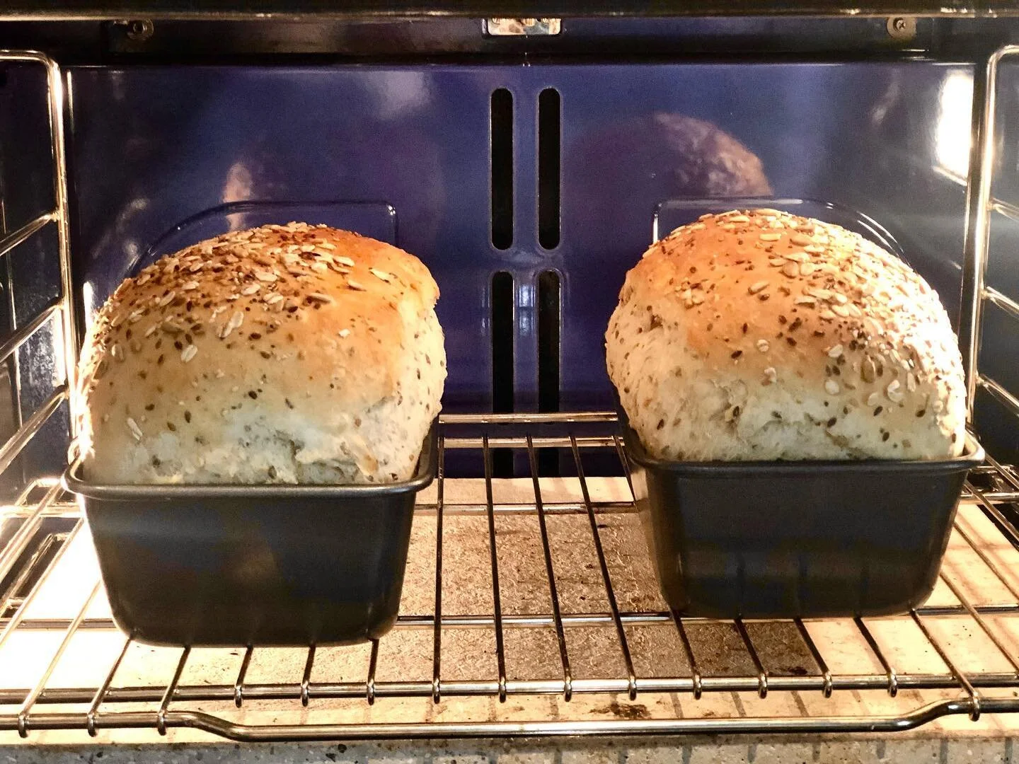 Multigrain enriched with brown rice, oats, flax, sesame and sunflower - Great for pesto caprese sandwiches for the beach! and a white whole wheat Country SD using @cairnspringmills trailblazer and KA #organicwhitewholewheatflour and a simple Cran-pec