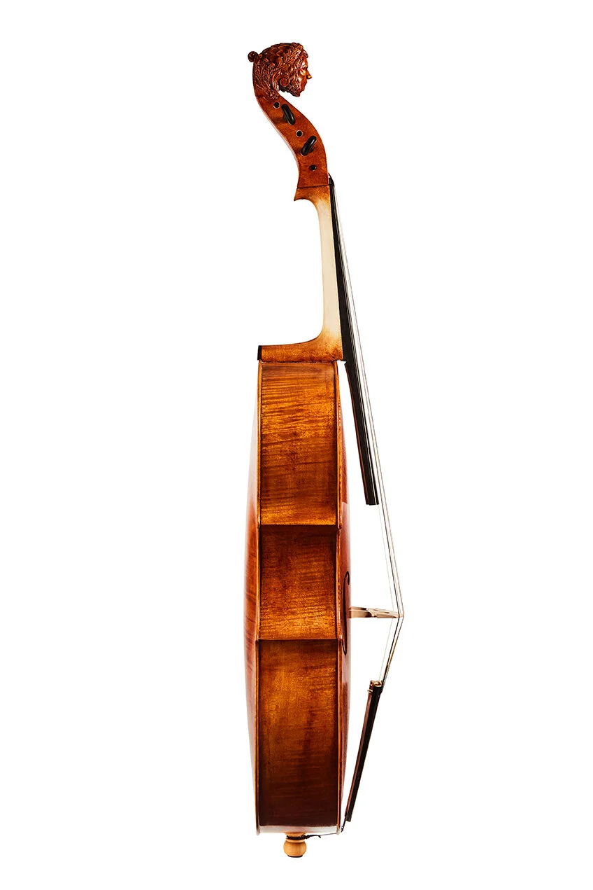 Violoncello Piccolo — Luthier Katrien Vandermeersch
