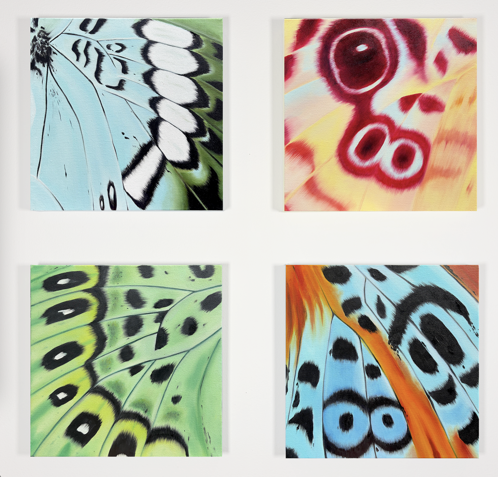 Mini Butterfly Series