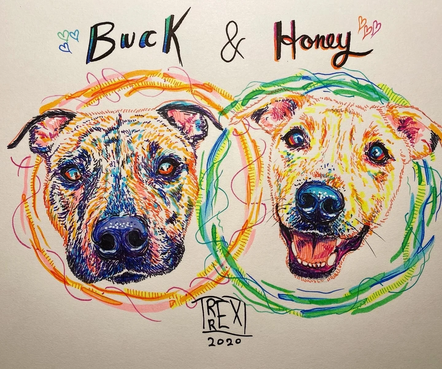 Buck & Honey!