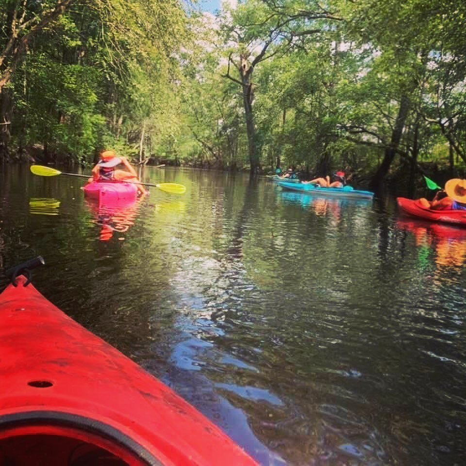 Cruising down the South River in Sampson County&hellip;talk about a great Saturday! What did you do today?
📸Eileen Coite
#awesomeouthere #kayaking #southriver #weekendvibes #enc #nc #ncrivers #paddle #ncwaterways