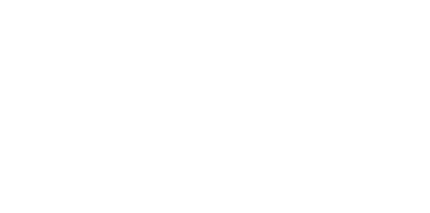 Wild Child Marketing