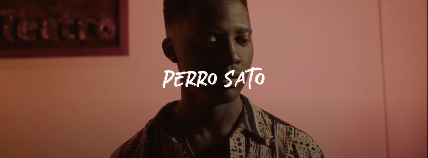 PERRO SATO