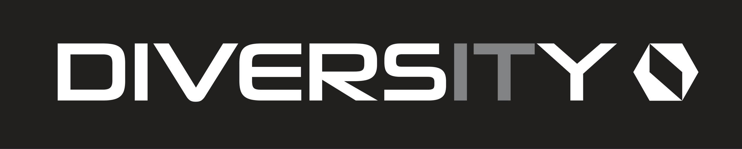 DIVERSITY IT LOGO black ground (1).png